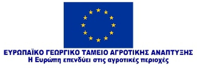 EU program logo 1